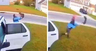 Mann rettet Frau vor Rotluchs-Angriff: Kamera fängt 46 Sekunden der Angst ein