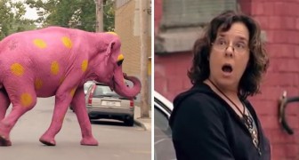 A PINK elephant crosses the street: this prank is HILARIOUS !