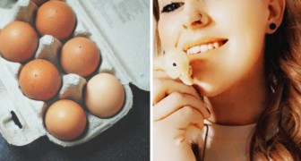 Sie bringt ein Entenküken aus einem Supermarkt-Ei zur Welt: Jetzt ist es ihr Haustier