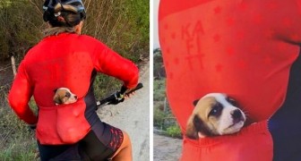 En cyklist hittar en övergiven hund på gatan och räddar den genom att stoppa den i fickan på tröjan