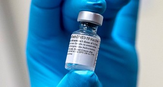 Stacca il frigorifero per caricare il cellulare: distrutte 1.000 dosi di vaccino anti-Covid