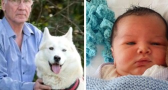 He finds a newborn abandoned in a bush thanks to his dog:He's a hero, he saved his life