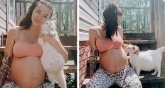 Mulher grávida faz amizade com uma gata grávida e elas passam os últimos dias de gravidez juntas