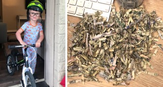 Bimbo di 2 anni trova una busta in casa e distrugge oltre 1000$ nel tritadocumenti