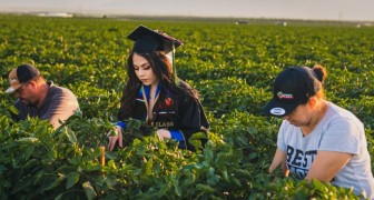 Una studentessa onora i genitori scattando le foto di laurea nei campi agricoli in cui lavorano