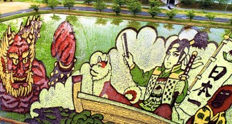 In questo villaggio giapponese gli agricoltori piantano il riso creando delle spettacolari opere d'arte