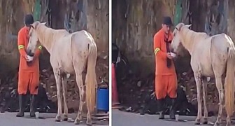 A street cleaner interrupts his work to give a thirsty horse a drink: a very noble gesture