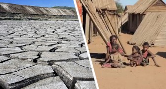 Il Madagascar sta subendo la prima carestia causata dai cambiamenti climatici
