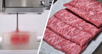 Japanse onderzoekers printen stuk van het beste Wagyu rundvlees in 3D: het is identiek aan het origineel