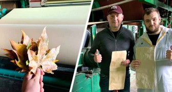 Uno studente riesce a trasformare le foglie secche in carta: il progetto per salvare gli alberi