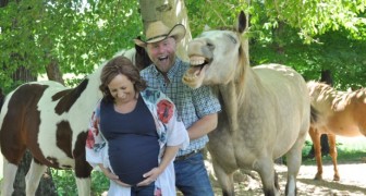 Un cavallo ruba la scena alla coppia che voleva celebrare il nascituro con un servizio fotografico
