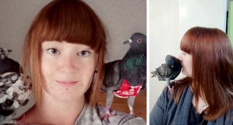 Elle sauve deux pigeons dans la rue et dépense plus de 4 000 £ par an pour leur garde-robe : ils sont comme ses propres enfants