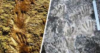 Queste impronte scoperte in Tibet potrebbero essere le prime forme d'arte conosciute