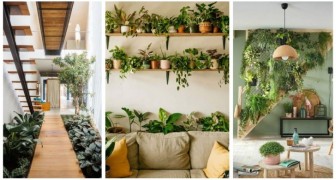 Creëer een tuin in huis met pakkende en stijlvolle oplossingen