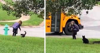 Le chat accompagne sa petite maîtresse de 7 ans à l'arrêt de bus et attend qu'elle aille à l'école