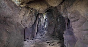 Gibraltar, een “geheime kamer” ontdekt die 40.000 jaar gesloten bleef