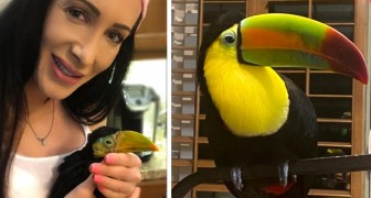 This woman hasn't been on vacation in years as she has to look after her pet toucan who is afraid of being abandoned