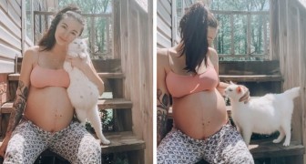 Een toekomstige moeder adopteert een zwangere zwerfkat: ze bevallen uiteindelijk op dezelfde dag