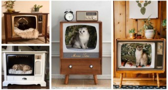 Da vecchie tv a cucce di cani e gatti: guarda come riciclare con fantasia questi oggetti vintage