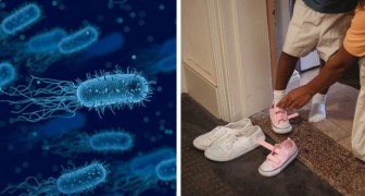 Varför vi inte bör ha skor på oss inomhus och riskerna med alla bakterier som samlas under skosulan