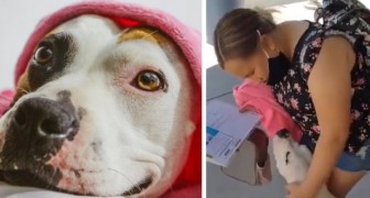 En tjej brister ut i glädjetårar när hennes mamma ger henne en hund från ett djurhem som hon sett på nätet