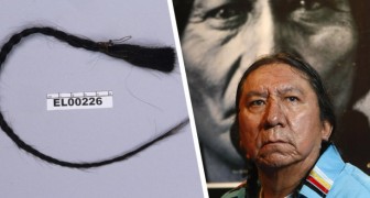 Toro Seduto ha un pronipote vivente: uno studio rivela la parentela grazie a una ciocca di capelli