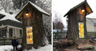 Rettung eines jahrhundertealten Baumes und Umwandlung in eine kostenlose Bibliothek für die Nachbarschaft