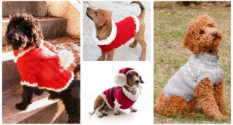 Regala al tuo cane un caldo e adorabile maglione fatto a mano, perfetto per le feste di Natale