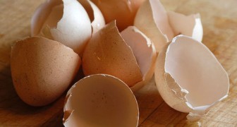Stop met het weggooien van eierschalen: ze zijn handig om deze 3 problemen in de keuken op te lossen
