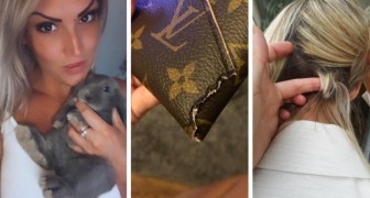 O coelho roe a sua bolsa da Louis Vitton, os sapatos e os cabelos: danos superiores a 2.300 euros, mas ela o adora