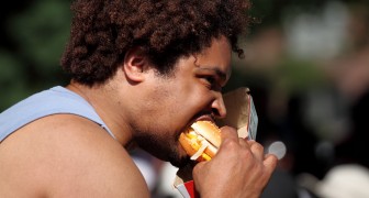30 Tage lang Junkfood essen als Experiment: die Folgen für das Gehirn