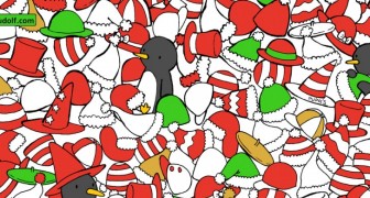 Kannst du einen Strumpf und eine Weihnachtsmannmütze finden? Versuche deinGlück, sie sind genau dort