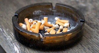 Ein paar einfache Tipps, wie man den Geruch von Zigarettenrauch in der Wohnung beseitigen kann