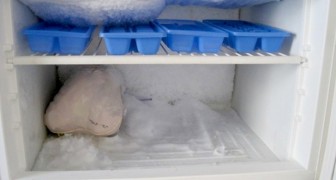 Seis simples passos a serem seguidos para descongelar adequadamente o seu freezer doméstico