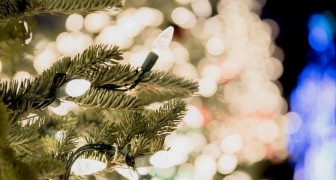 Weihnachtslichter: einige simple Ratschläge, um sie richtig auf euren Baum anzubringen