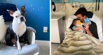 Family dog saves baby's life after the infant stopped breathing during the night