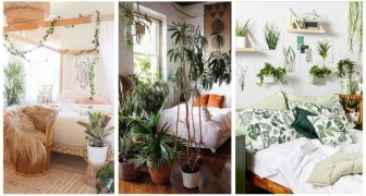 Trasforma la camera da letto in un'oasi verde: 11 ispirazioni per inserire le piante nell'arredo