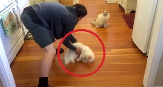 He slides his cat along the floor ... His reaction? Adorable!