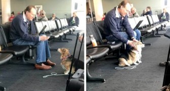 En hund tröstar en äldre sörjande man medan han väntar på sitt flyg (+VIDEO)