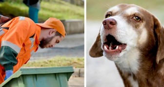 En hund lockar till sig sophämtarens uppmärksamhet och räddar livet på sin gamla matte
