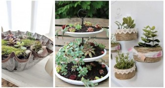 Trouvez l'idée la plus spectaculaire pour meubler avec brio en utilisant des compositions de plantes succulentes 