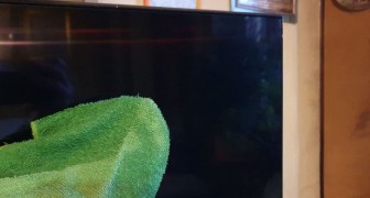 Mai più polvere e aloni sullo schermo della TV: scopri come pulirlo nel modo giusto