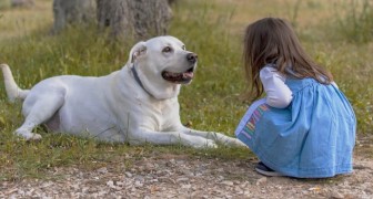 Ils gagnent 1 000 000 £ et la première chose qu'ils font est d'adopter un chien guide pour leur fille porteuse d'handicap