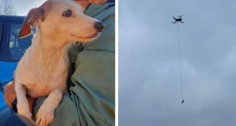 I soccorritori fanno penzolare salsicce dai droni per salvare un cane smarrito in acqua