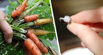 Ze verliest haar verlovingsring in de tuin: na 13 jaar wordt het gevonden rond een wortel (+ VIDEO)