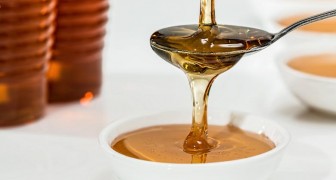 Wil je weten of honing zuiver is? Ontdek enkele handige trucs 