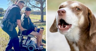 En äldre man ramlar i sjön med sin rullstol, men hans hund skäller så högt att två förbipasserande räddar honom från att drunkna