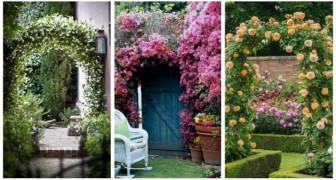 Arches de fleurs dans le jardin : laissez-vous inspirer par ces idées pour vous promener sous une voûte fleurie !