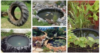 Vorresti un laghetto in giardino? Puoi crearlo con uno pneumatico da trattore