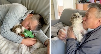 Il padre non vuole animali in casa, ma poi viene ripreso mentre coccola il nuovo cucciolo: Ha cambiato idea